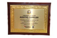 AUDITED SUPPLIER certificate from Changzhou Changlong Motor Co., Ltd.