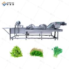 Commercial Fruit Vegetable Processing Line Bubble Washing Drying Sorting Machine for Mango Avocado Date Orange Lemon - Image 3