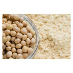 Soybean Meal