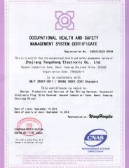 OHSAS 18001 certificate from Zhejiang Tongsheng Electronic Co., Ltd.