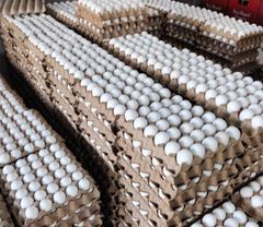 White table egg - Image 1