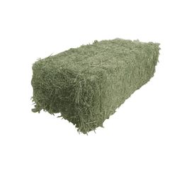 Organic Top-quality Alfalfa Hay/Grass Hay/Pellets for Fish Cattle & Horse Feed - Image 2