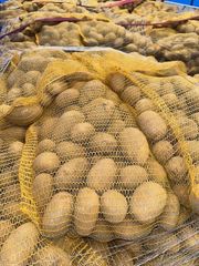 Fresh Polish Potatoes - 2026 Crop - wholesale full truck loads – product photo 1, product detail gallery