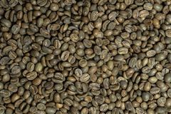 Green Coffee Beans - Image 1