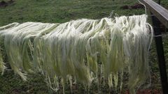 3mm Natural Fiber Sisal Baler Twine for Agriculture Concrete & Spinning Use-Eco-Friendly Chemical-Resistant - Image 2