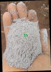 Palm Bunch Ash - Image 1