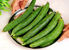 Fresh Sponge Gourd - Image 3