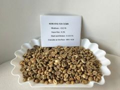 coffee Arabica - Robusta - Image 3