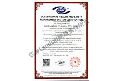 ISO45001 certificate from Hebei Landcel Cellulose Tech Co., Ltd.