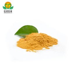 High Quality Super Food Hawthorn Juice Powder - Image 2