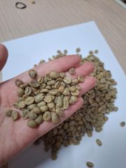 Green Coffee Beans - Image 1