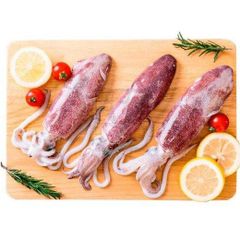 Frozen Squid Frozen Illex Squid 300-400gr. - Image 4