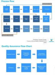 Guidelines Support Probiotic Strains Genetic Identification Functional Food Gut Health - Image 5