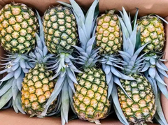 Pineapple (Fresh) – product photo 1, product detail gallery