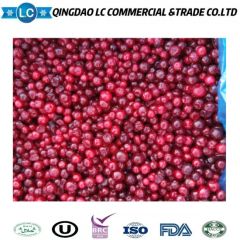 Competitive Price Bulk Frozen IQF Fresh Fruits Red Lingonberry - Image 4