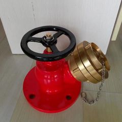 High Quality Brass Fire Hydrant Hose Valve with Adapter - Safety Plus Industrial Co., Ltd.