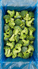 Premium Fresh / Frozen Fruits & Veg (IQF / Whole / Sliced / Diced) - wts Ref Code: #o1o-986-98919 - egypt - Image 3