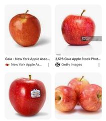 apple Grade sk Packaging - Image 3