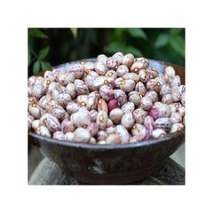 Sugar beans packed in bulk bags for global delivery – product photo 1, product detail gallery