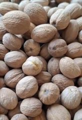 Nutmeg - Image 2