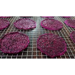 100% Natural Whole Red Dragon Fruit Sliced and Dried with Freeze Dry Technology Retains Natural Color and Flavor Oil-Free - Image 6