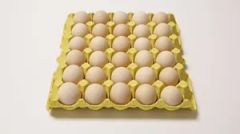 Pulp Egg Tray Making Machine - Image 4