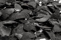 COCONUT SHELL - Image 3