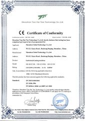 CE of Conformal Coating Machine certificate from Shenzhen Oubel Technology Co., Ltd.