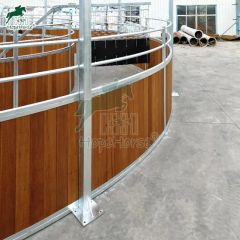 Equestrian Conditioning Equipment for Horses - Image 4