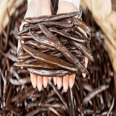 Vanilla Beans 16.5cm Long Rich Aroma Whole Gourmet Pods 10kg Natural for Restaurants Chefs at Great Price - Image 3