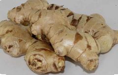 Ginger - Image 1