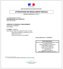 certificate certificate from Shenzhen Shengtei Trading Co., Ltd.