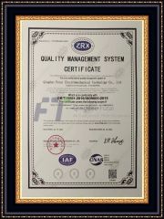 QUALITY MANAGEMENT  SYSTEM CERTIFICATE certificate from Qingdao Futai Electromechanical Technology Co., Ltd.