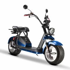 450W,1500W,2000W,3000W,5000W,48V,Wuxing,Smart,Best,EEC,Mini,Self Balancing,Folding,Battery,Dual Motor Electric Scooter,Motorcycle,Harley Citycoco Makers - CHONGQING BORIS EXP. & IMP. CO., LTD.