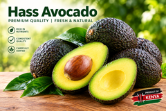 Hass Avocado - Image 4