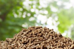 Oak Pellet Wood Density 600kg/m3 - 800kg/m3 European Wood Pellets DIN PLUS A1 - Image 4