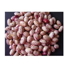 Organic Pinto Beans Sugar Beans / Kidney Beans / Red Kidney Beans - Image 2
