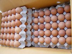 Fresh Table Eggs - Image 2