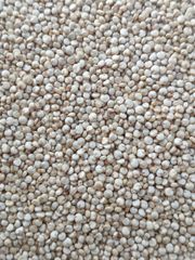 Quinoa Bold Origin Indian - Image 1