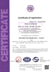 ISO9001 certificate from Taizhou Dongyi Electric Motor Co., Ltd.