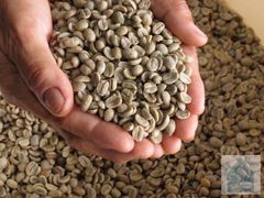 Thailand Arabica Green Beans [Grade A] – product photo 2, product detail gallery