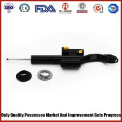 Chinese Manufacturer Supplier Air Suspension for Benz 205 Shock Absorber 4matic Front Left - Linyi Tianyi Shock Absorber Co., Ltd.