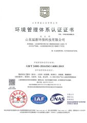 ISO 14001 certificate from Shandong Yanxin Environmental Protection Technology Co., Ltd