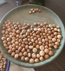 Whole Betel Nut 90/95 New Crops Best Quality – product photo 1, product detail gallery