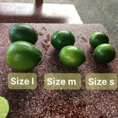 Fresh Lime Low Calorie Delicious Food Packing In Carton/ Fresh Seedless Lemon Export Quality FREE TAX /READY TO SHIP – product photo 5, product detail gallery