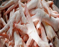 Grade A Halal Frozen Chicken Feet - Image 2