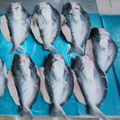 Frozen Fish Export Seafood Fish Price 10kg Weight Variety Sizes Pangasius Butterfly  With HACCP HALAL Certification - Image 5