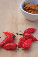 Bhut jolokiya (ghost chilli) – product photo 3, product detail gallery