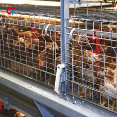 Aumotic New Technology Battery Layer Chicken Animal Cage - Image 6