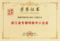 honorary certificate certificate from Naseiko Intelligent Technology (Shenzhen) Co., Ltd